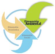 <p>Dimensión Ambiental</p> <p>Dimensión Ambiental</p>