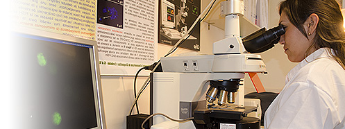 Ciencia Ciencia