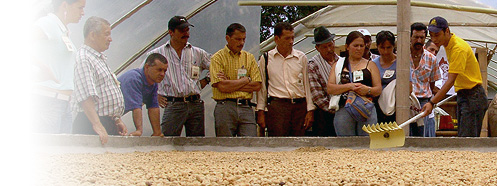 Innovación Innovación