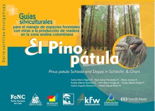 <p>Guías silviculturales para el manejo de especies forestales con miras a la producción de madera</p>