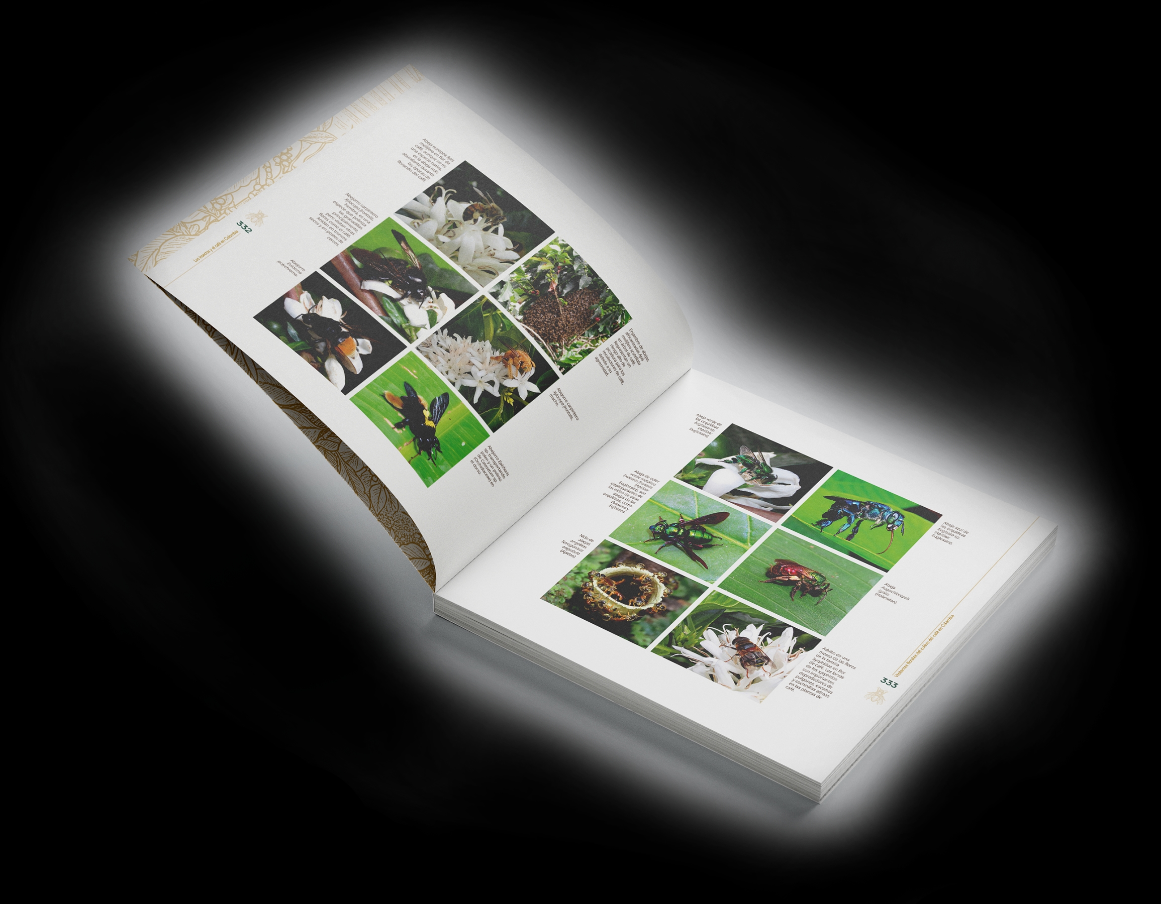 Libro abierto mostrando abejas nativas