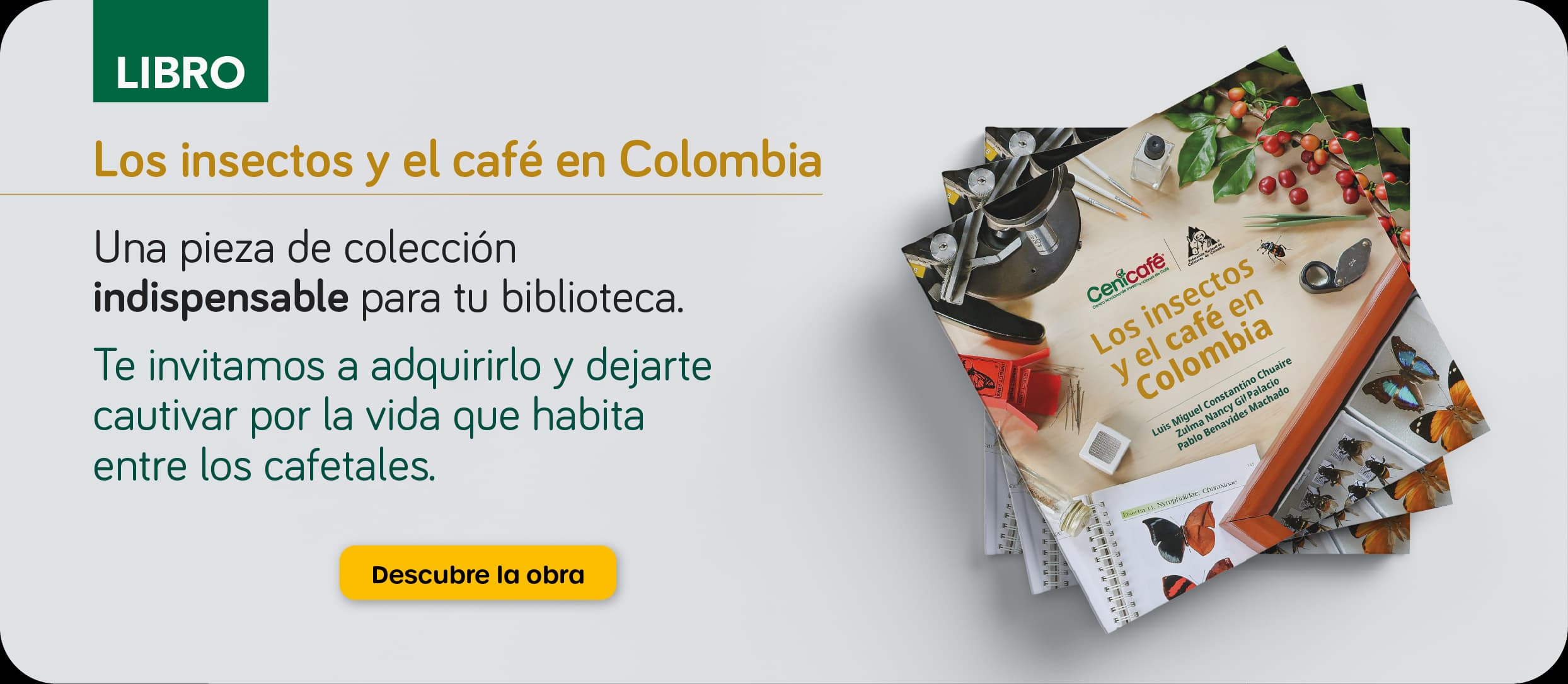 Libro Insectos
