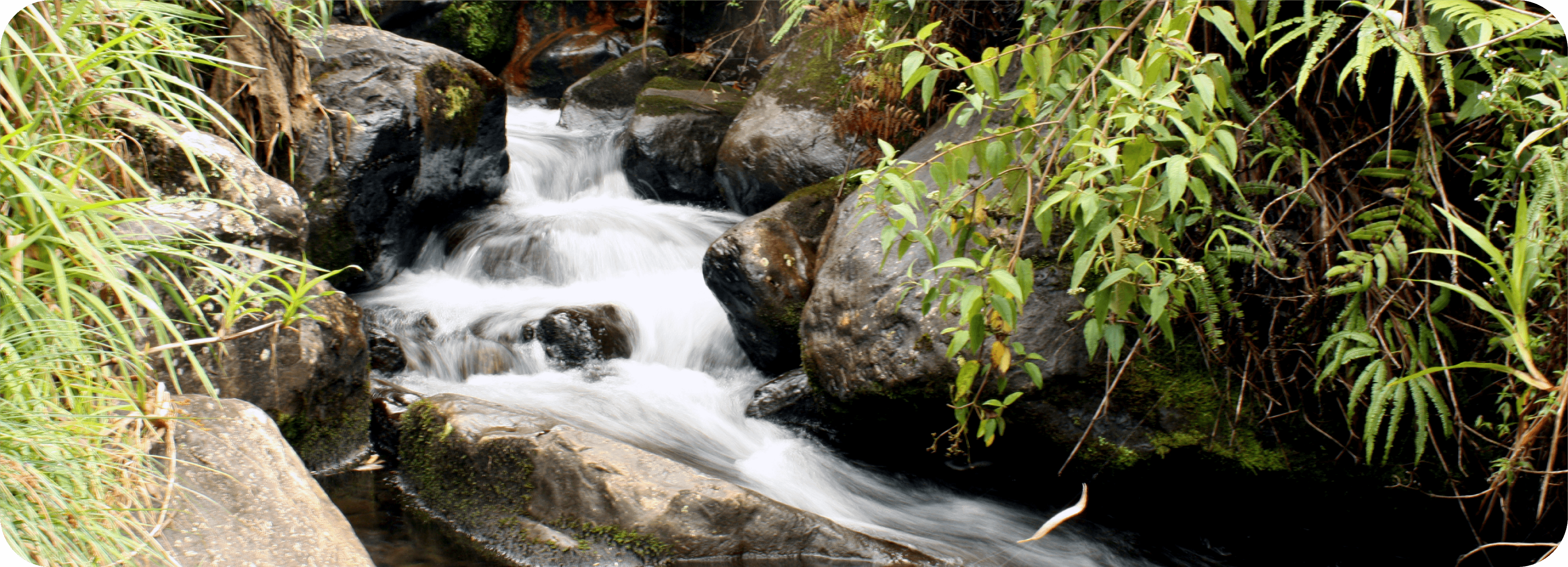 Calidad del agua