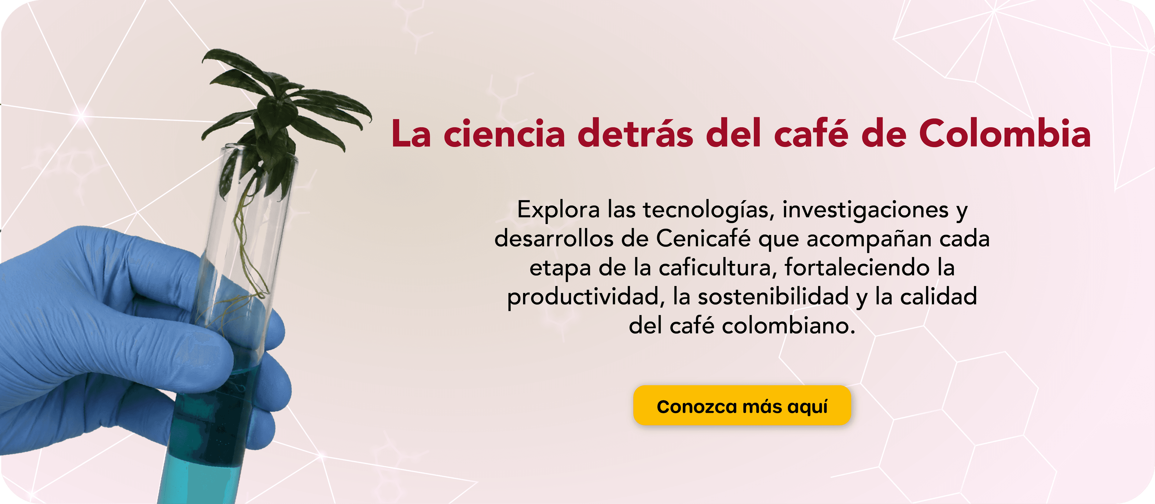 Ciencia detrás del café