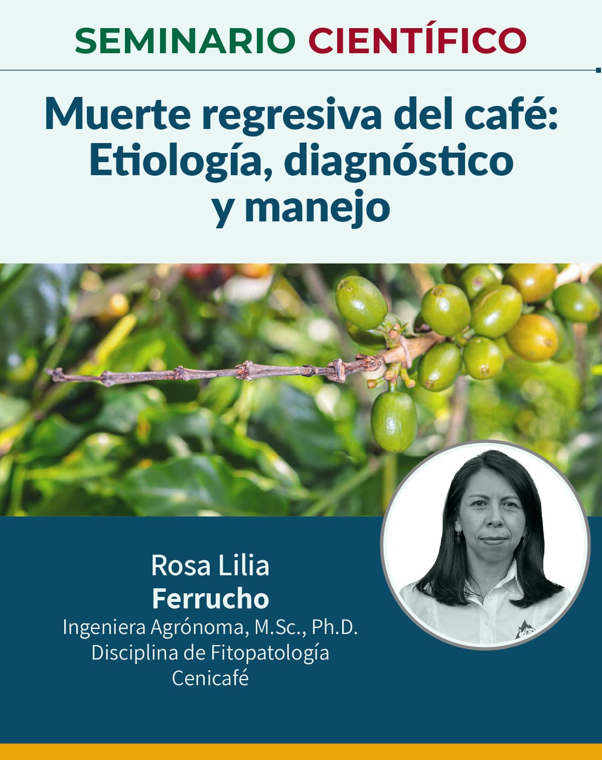 Seminario 11 Septiembre 2026