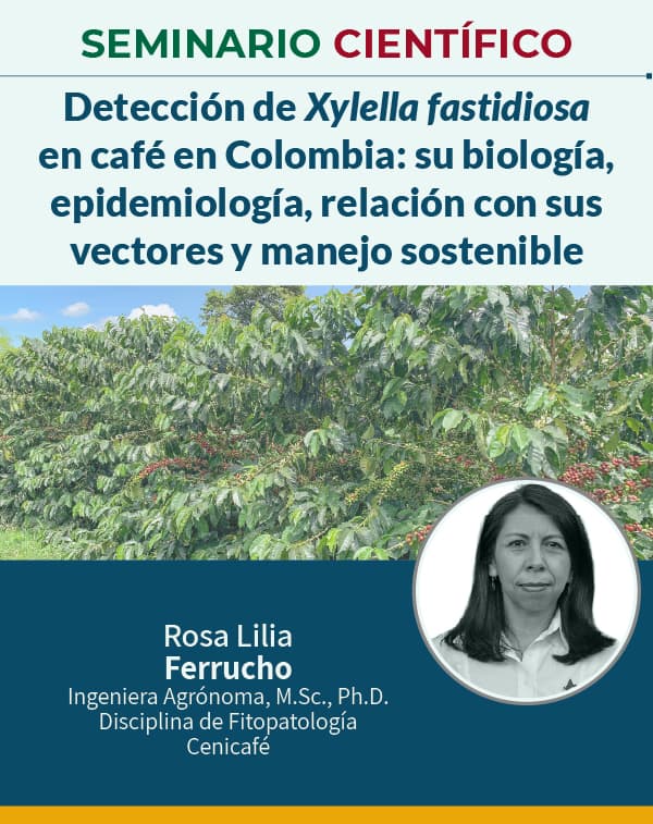 Seminario 13 Marzo 2026