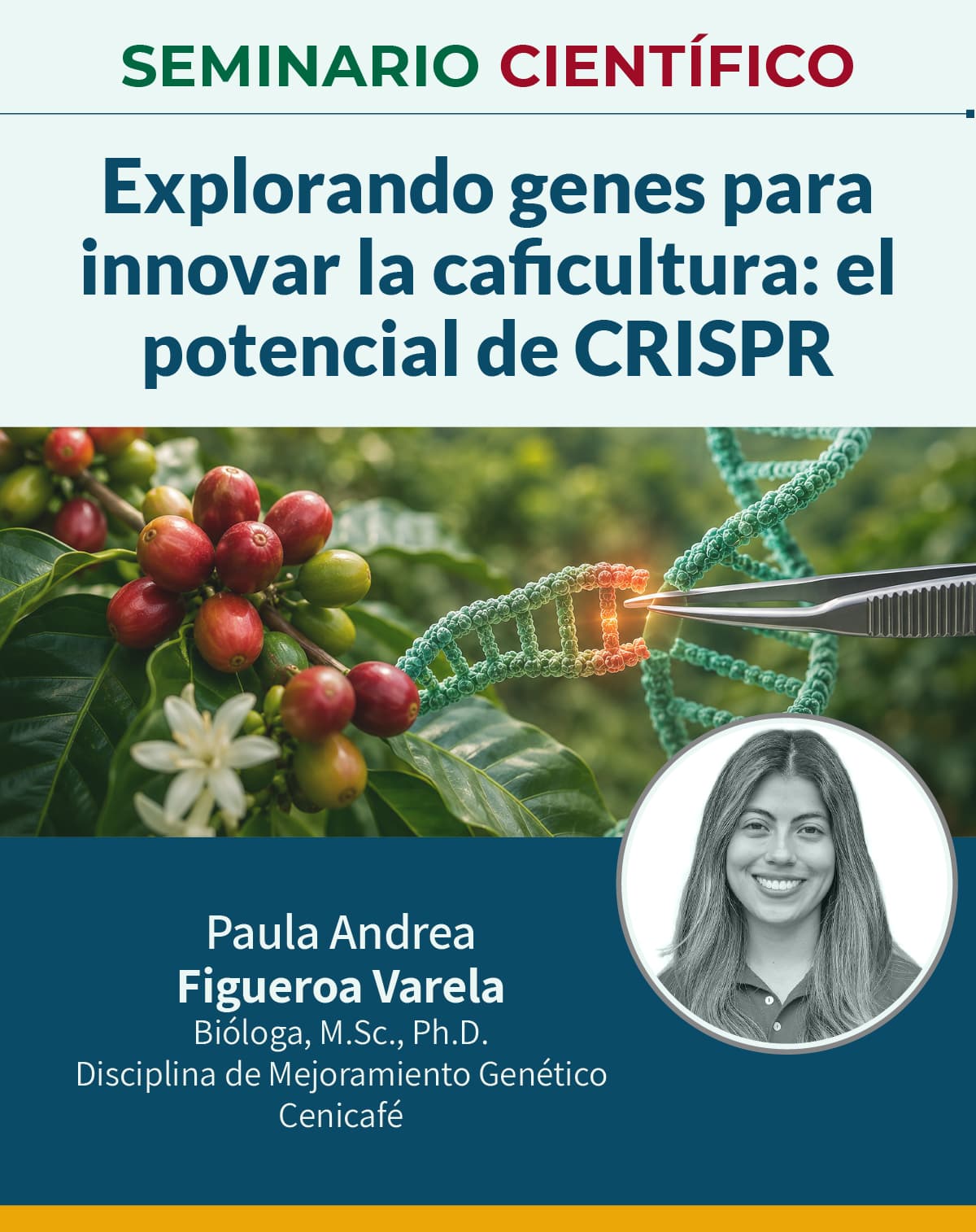 Seminario 17 Julio 2026