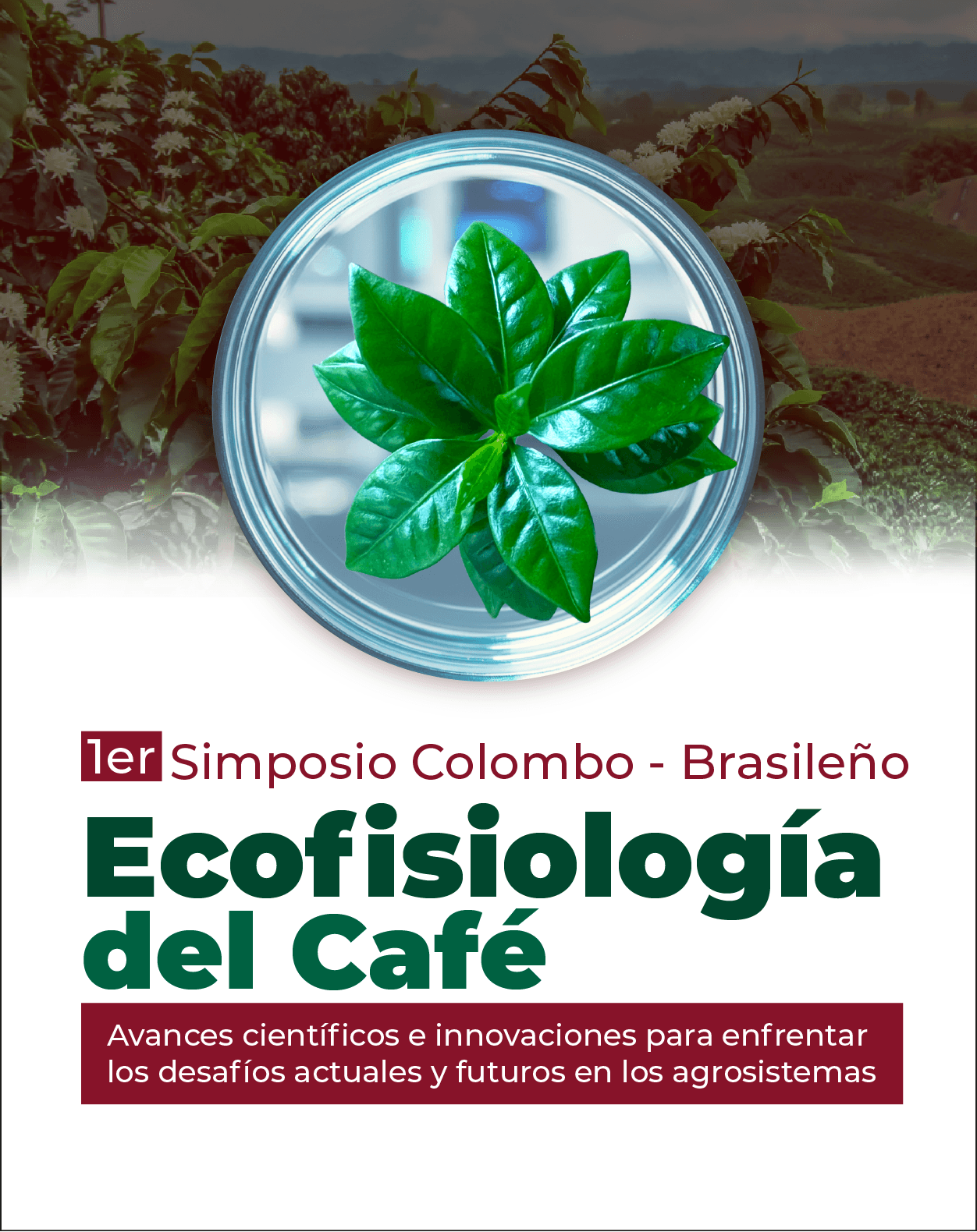 1er simposio Colombo Brasileño