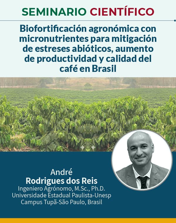 Seminario 20 Marzo 2026