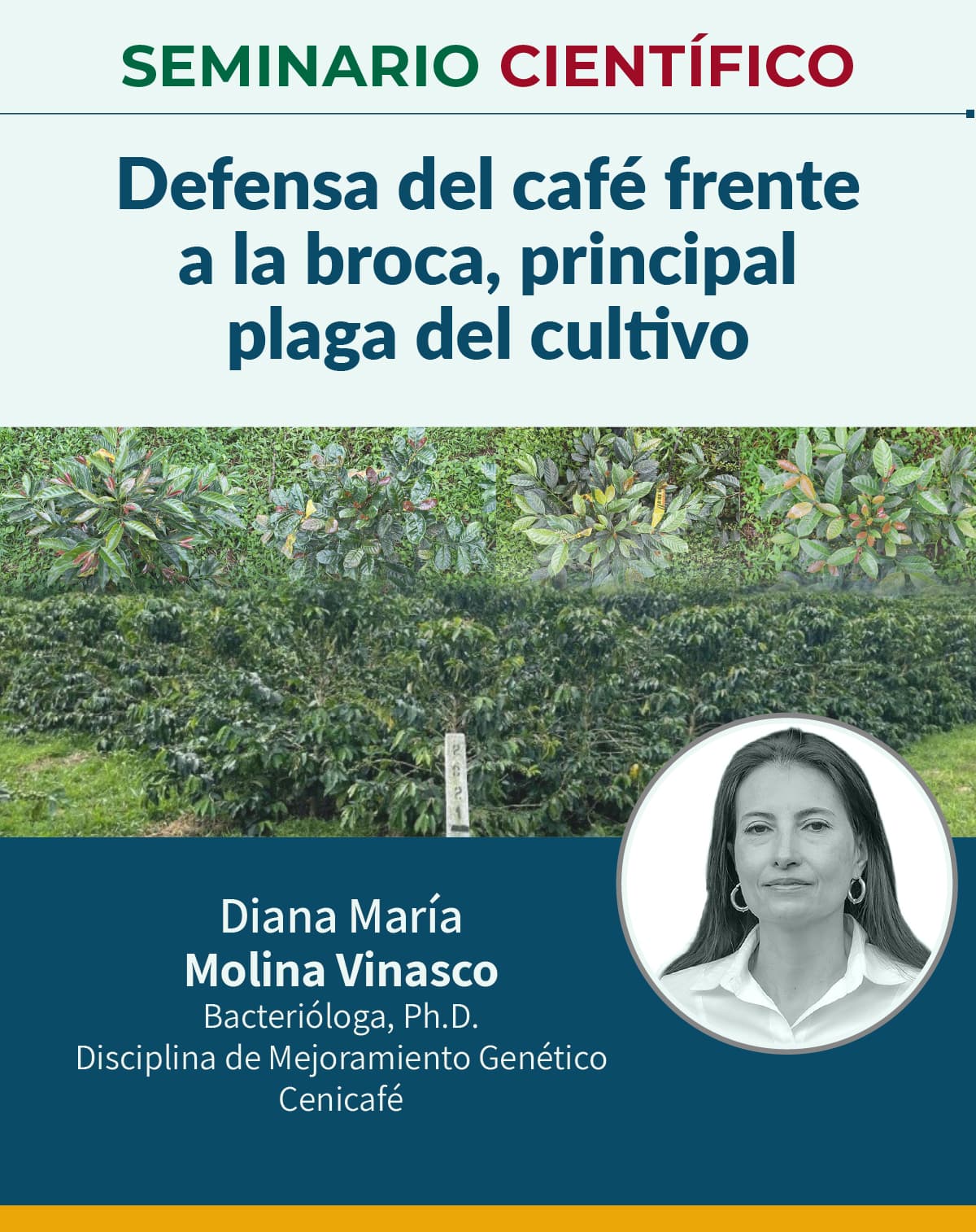 27 agosto