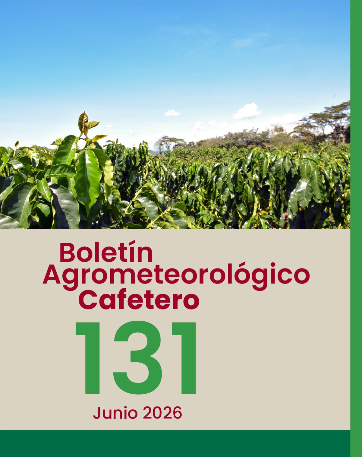 Boletín Junio 2026