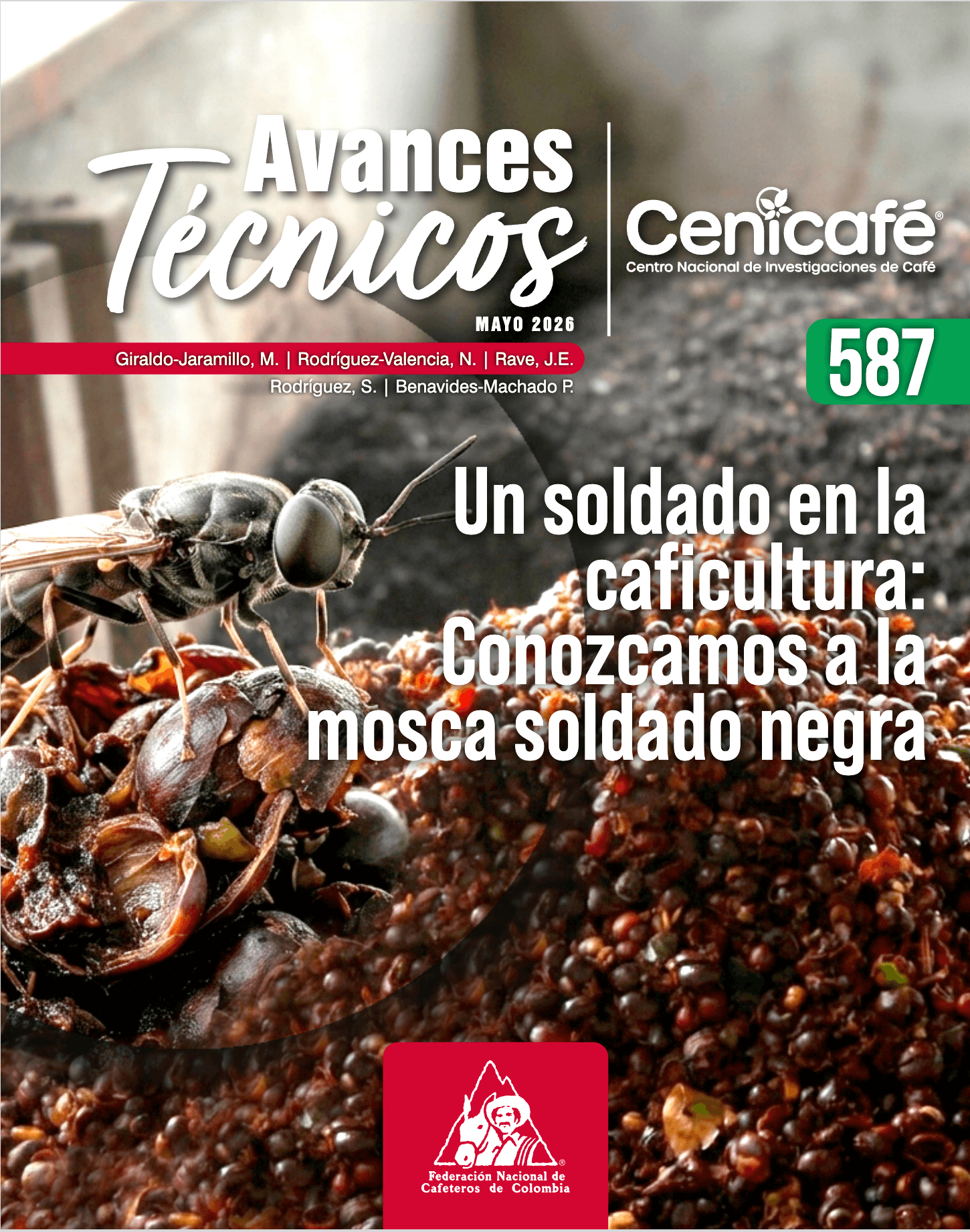 Avance Técnico 587