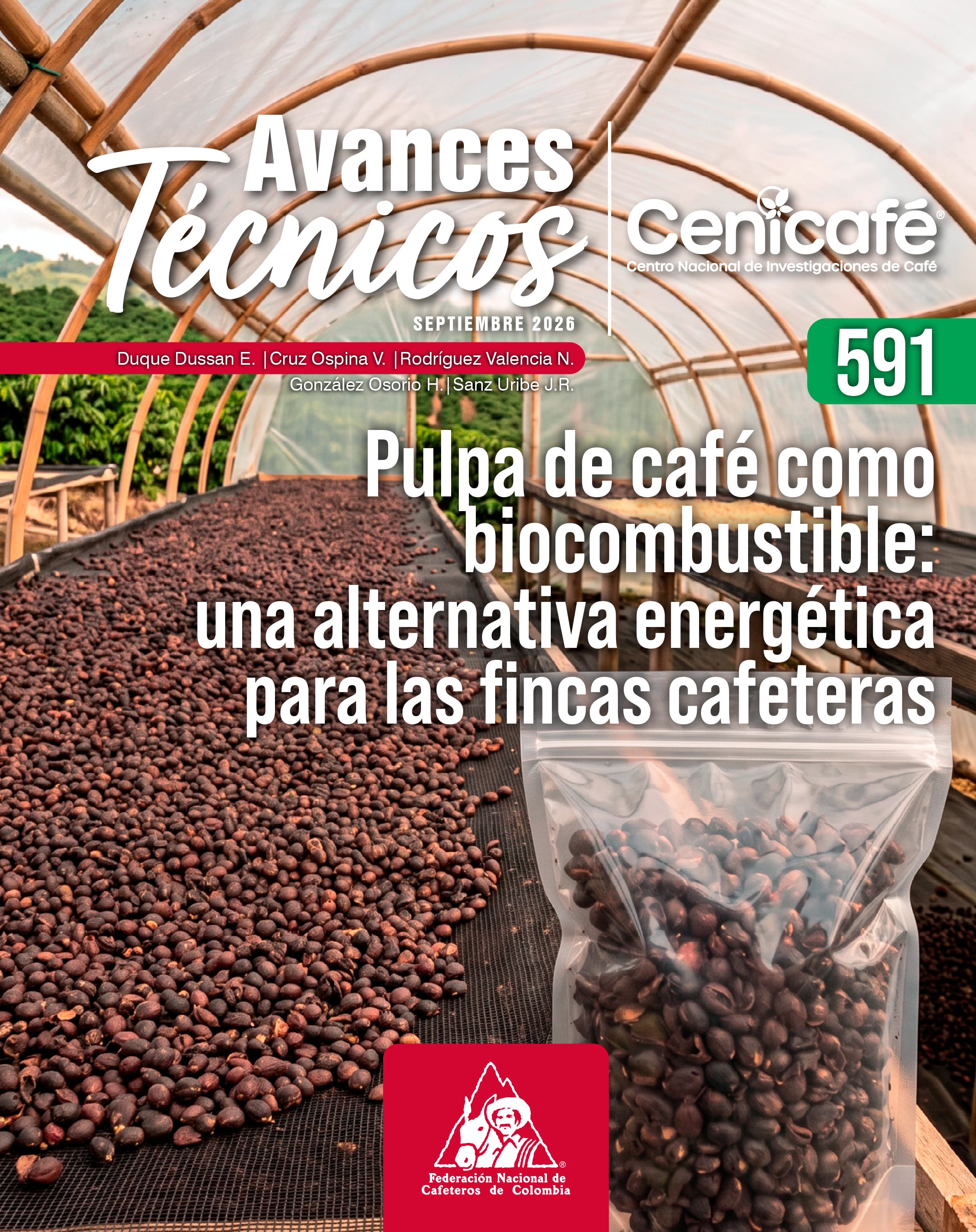 Avance Técnico 591