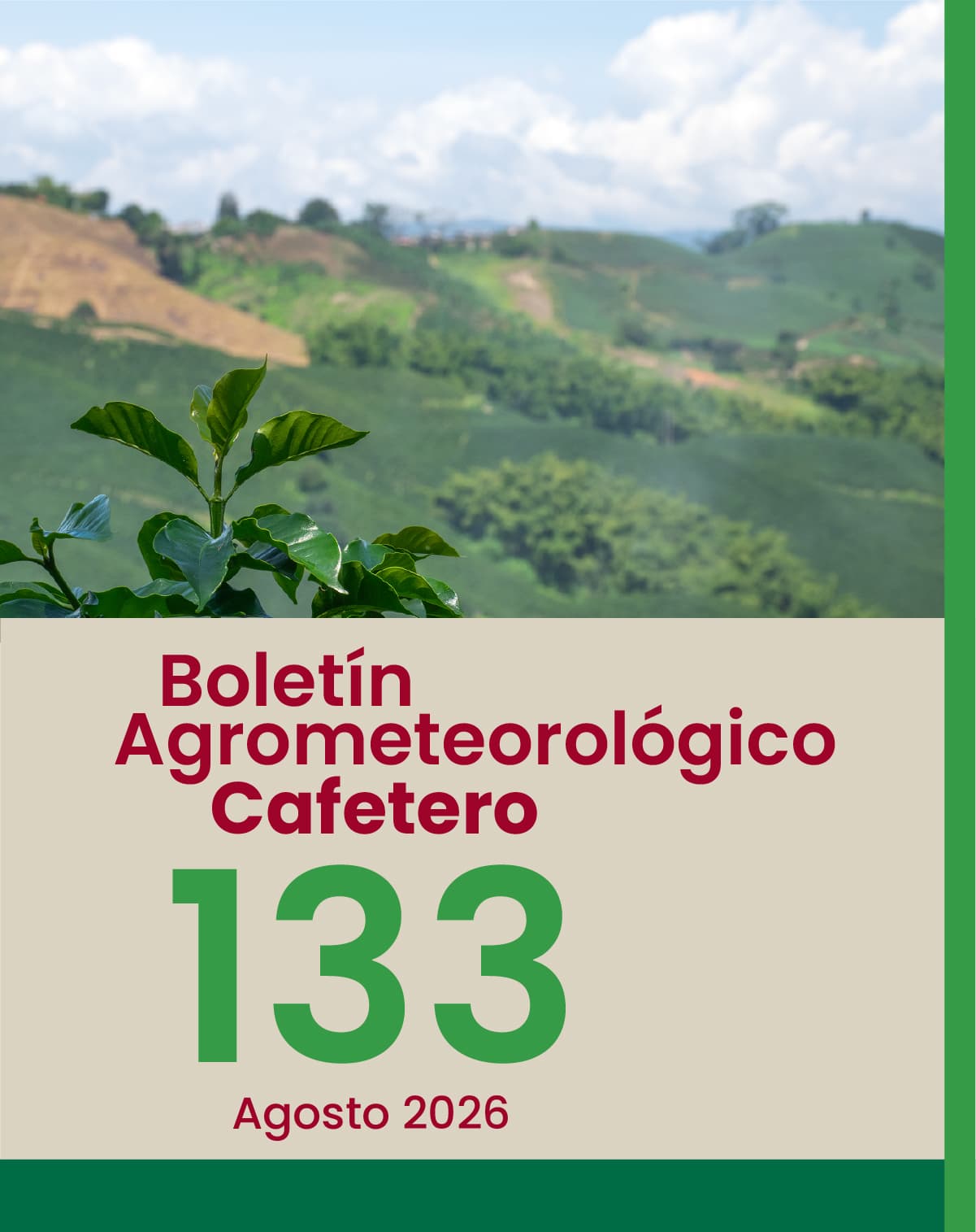 Boletín Agosto 2026