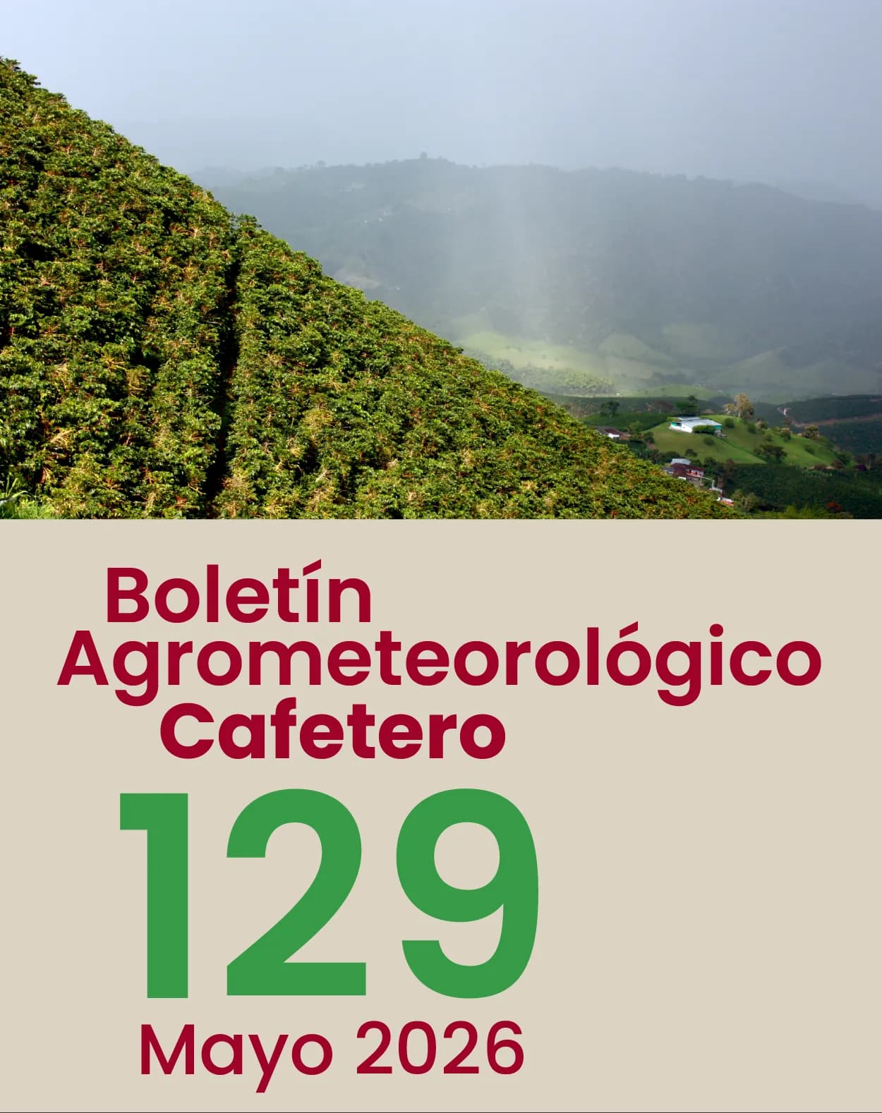 Boletín Mayo 2026