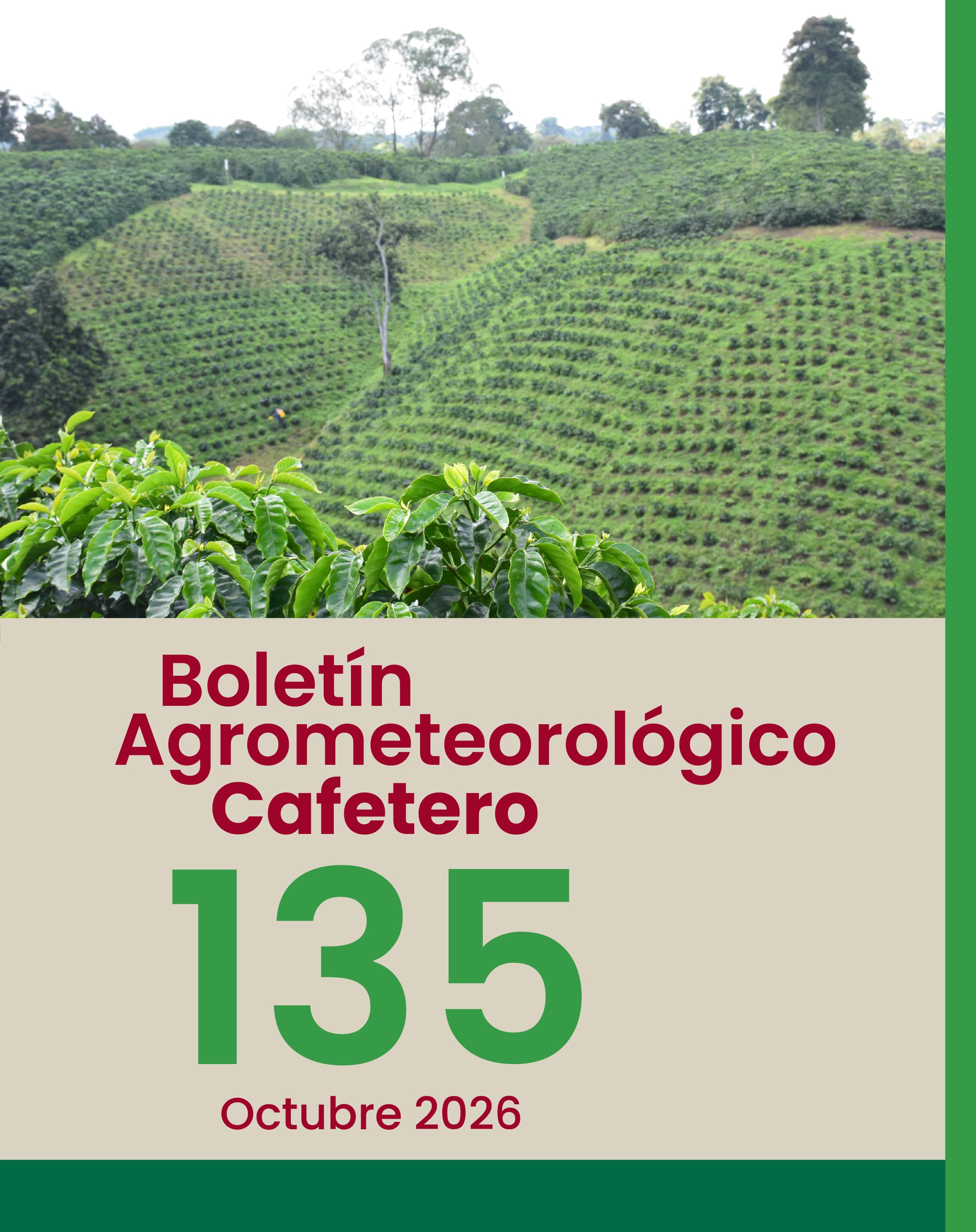 Boletín Octubre 2026