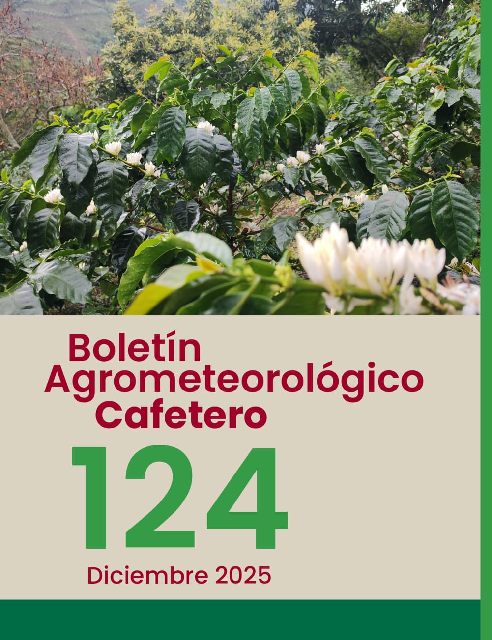 Boletín 124