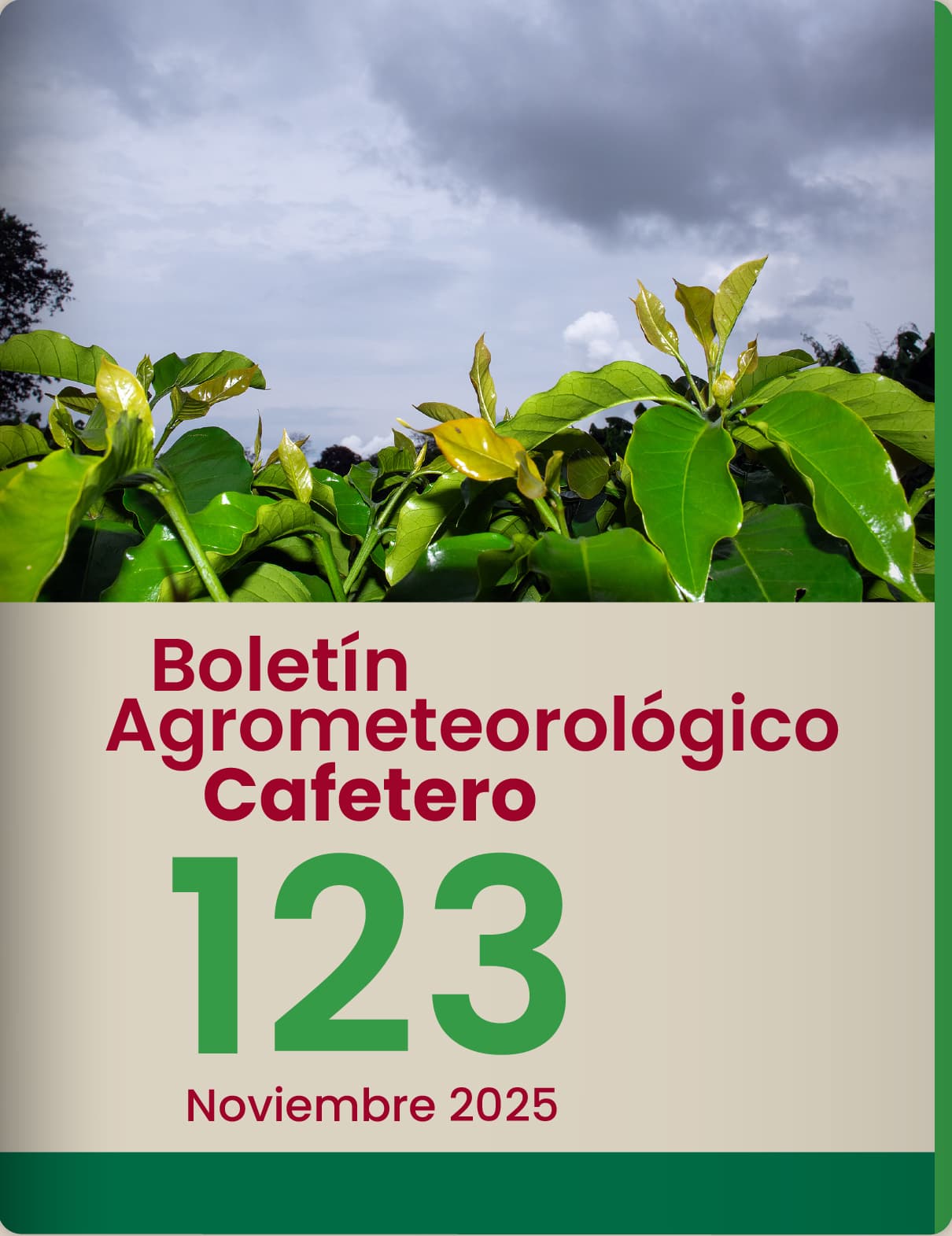 Boletín Noviembre 2025