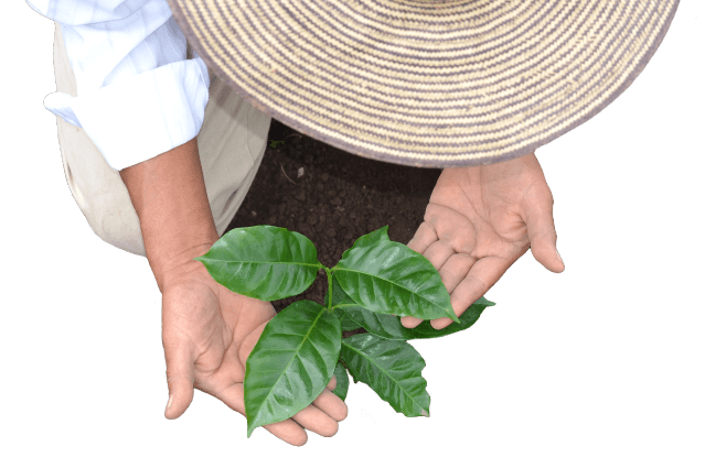 Conservación de agua