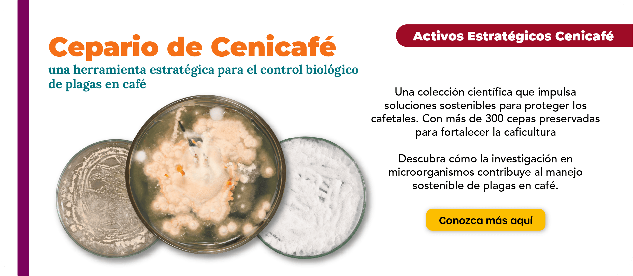 Cepario de Cenicafé