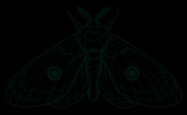 Ilustracion 1 del libro Los insectos y el café en Colombia - Investigación científica de Cenicafé