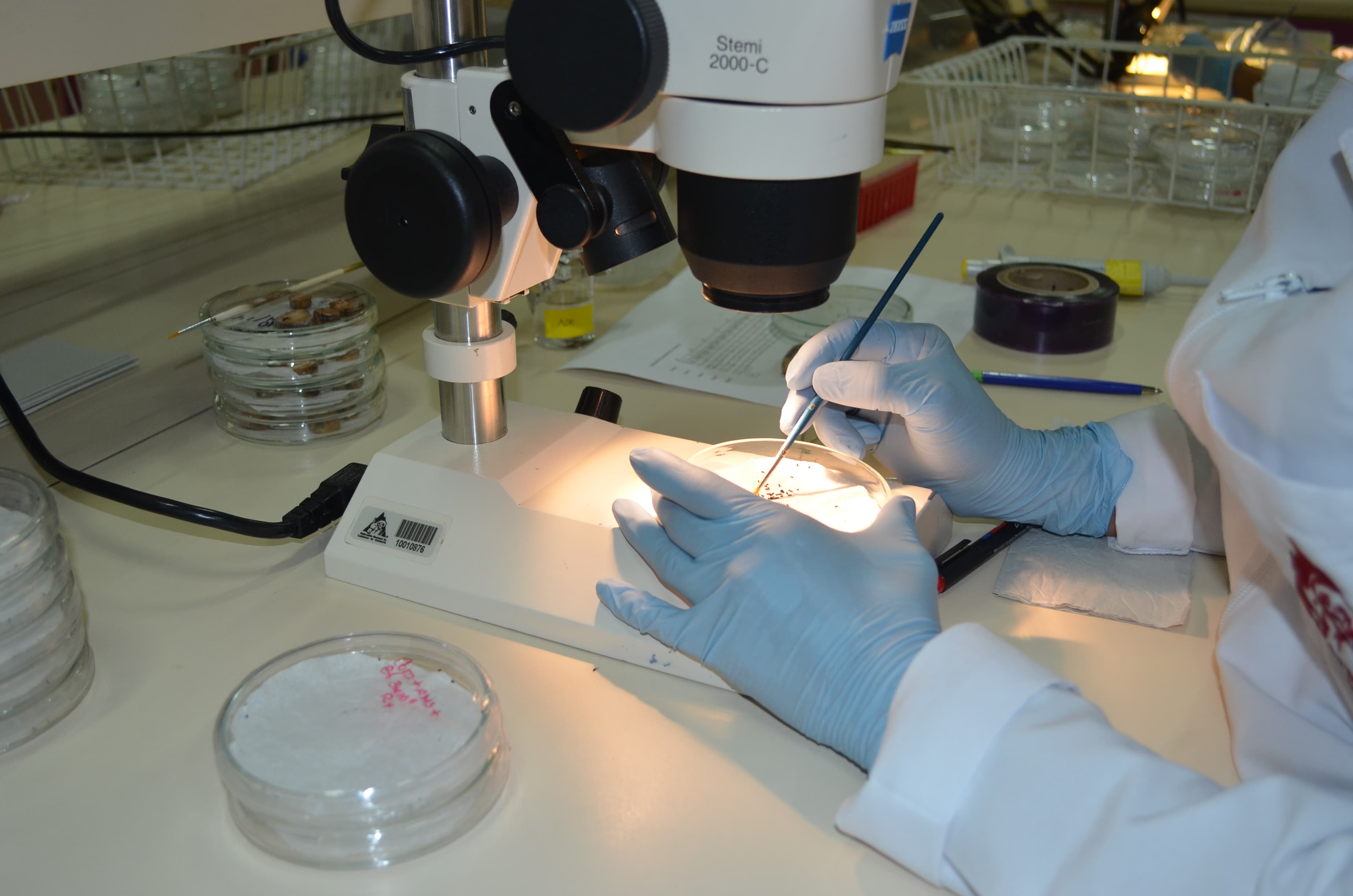 Ciencia con rostro humano - Conoce nuestro equipo