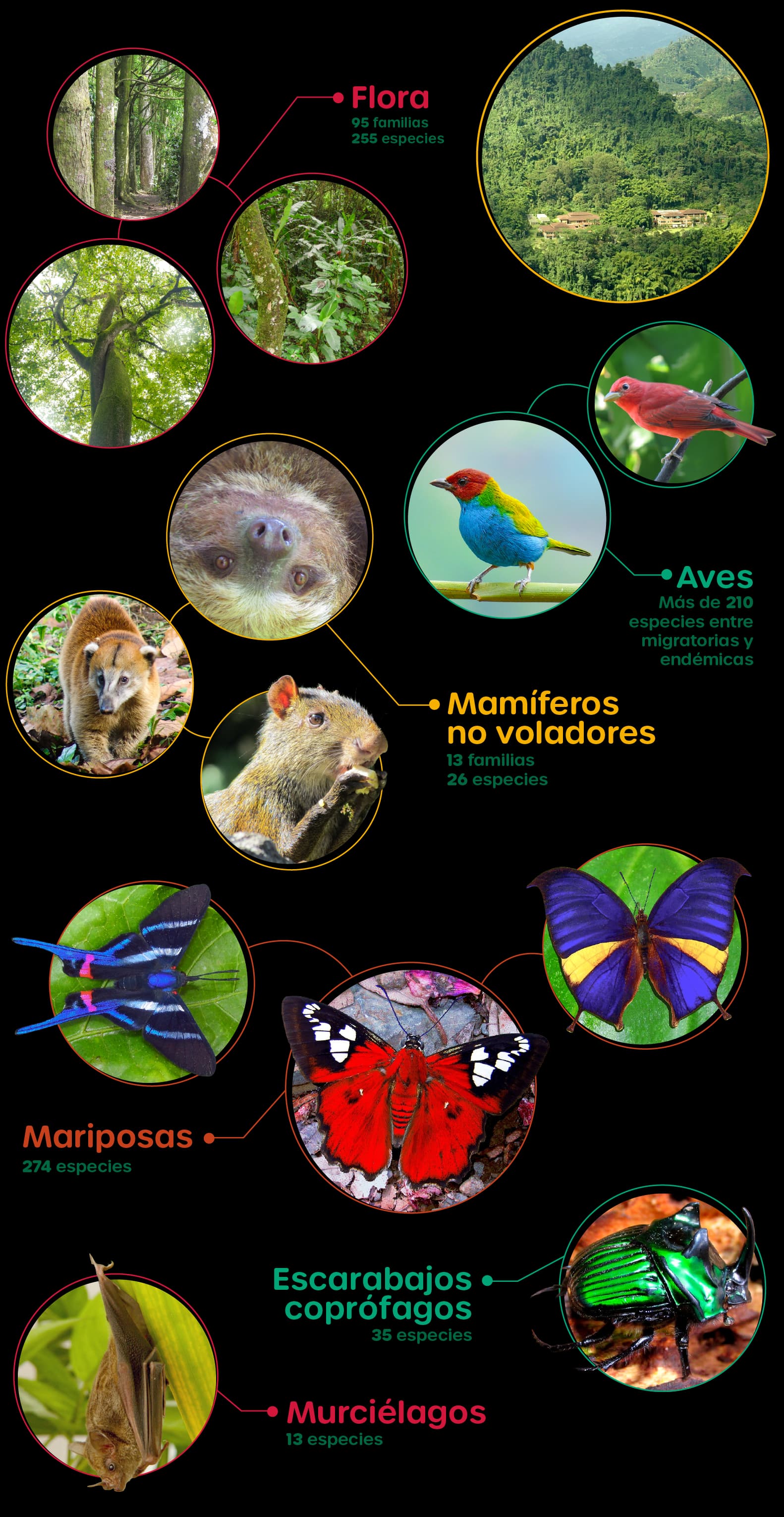 Conservación de agua (desktop)