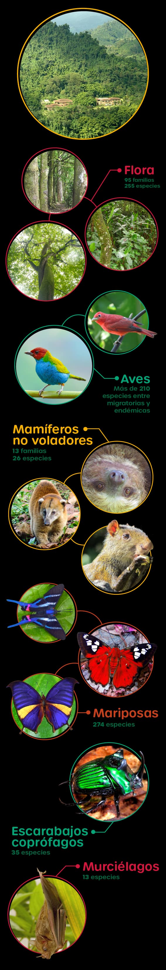 Conservación de agua (móvil)