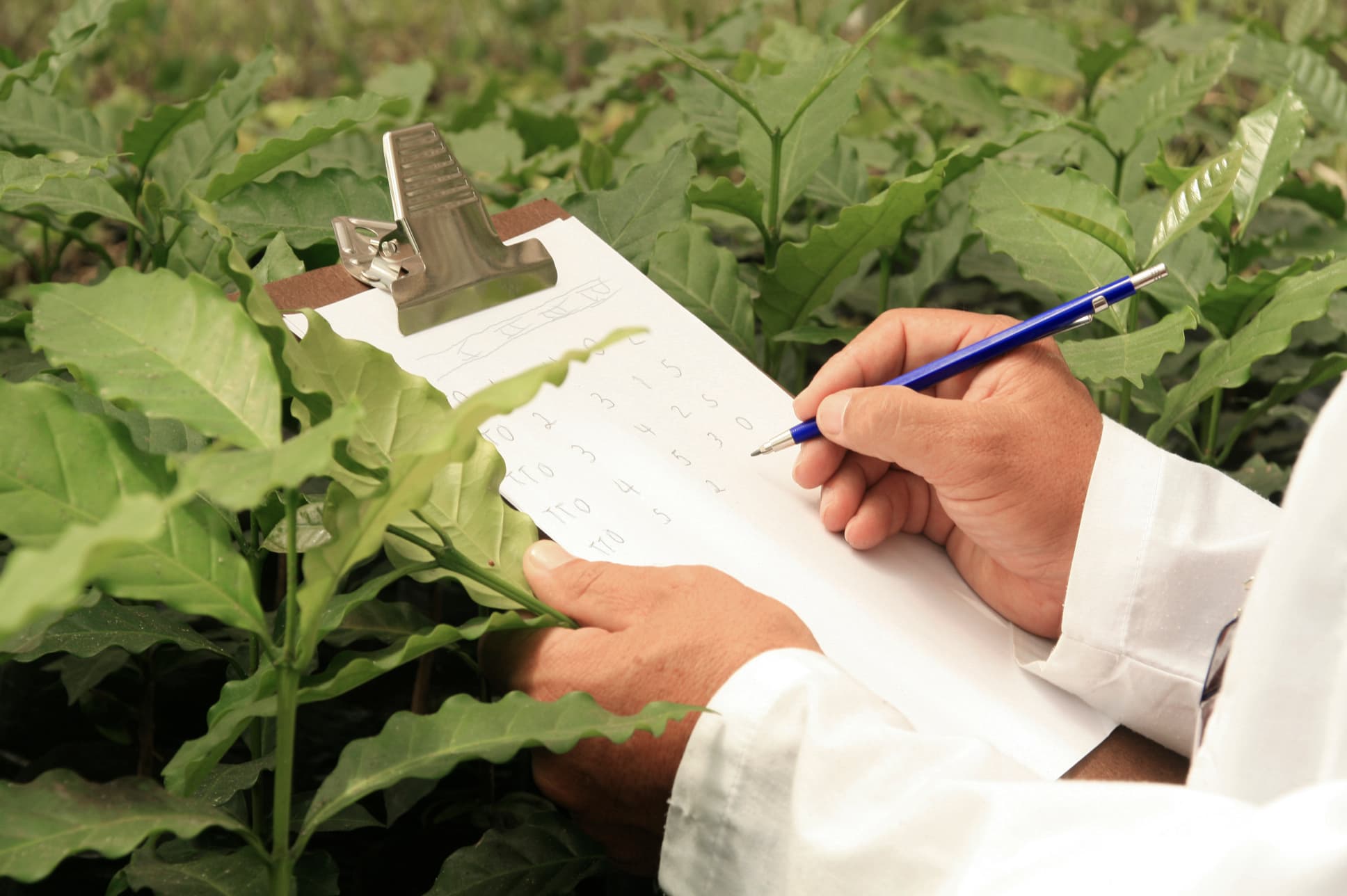 Estaciones Experimentales - Más información