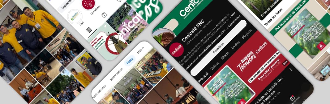 Cultivemos café - Sección educativa sobre cultivo de café