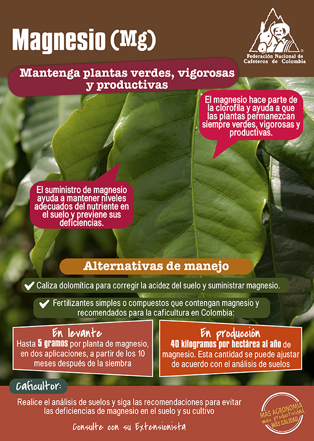 <p>Magnesio (Mg): mantenga plantas verdes, vigorosas y productivas</p>