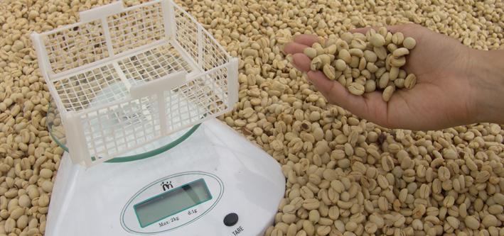 <p>Video:Gravimet. Tecnología para evaluar el secado del café en la finca</p>