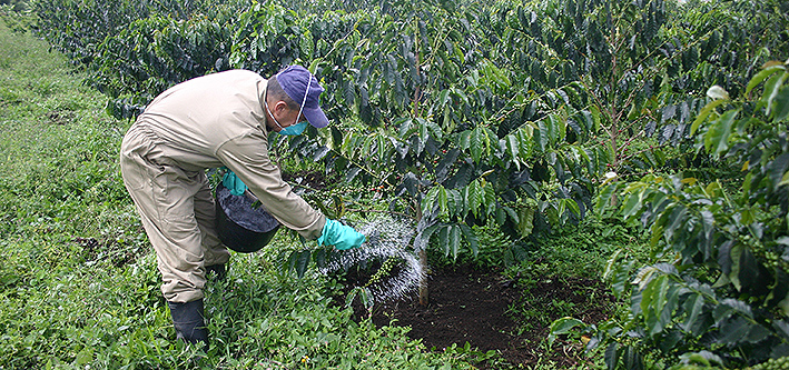 <p>Gerente de Agroinsumos del Café con las estrategias para reducir los costos de los fertilizantes</p>