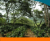 <p>Portada libro Sistemas de Produccion Capítulo 10</p> <p>Portada libro Sistemas de Produccion Capítulo 10</p>