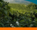 <p>Portada libro Sistemas de Produccion Capítulo 6</p> <p>Portada libro Sistemas de Produccion Capítulo 6</p>