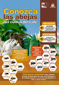 <p>Conozca las abejas del cultivo del café</p>