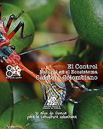 <p>Portada</p> <p>Portada</p>