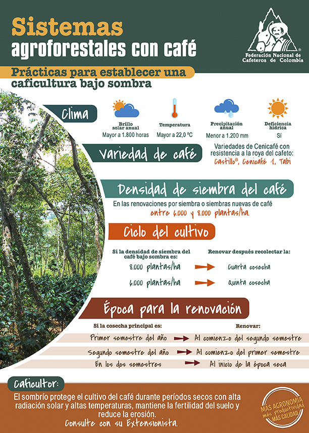 <p>Sistemas agroforestales con café. Prácticas para establecer una caficultura bajo sombra</p>