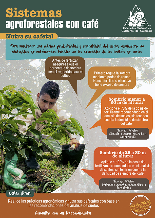 <p>Sistemas agroforestales con café. Nutra su cafetal.</p>