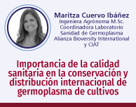  - Clic para ampliar