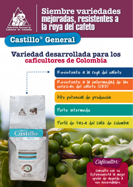 <p>Siembre variedades mejoradas, resistentes a la roya del cafeto - Castillo General</p>