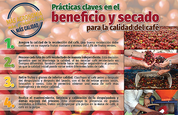 <p>Prácticas claves en el beneficio y secado para la calidad del café</p> <p>Prácticas claves en el beneficio y secado para la calidad del café</p>
