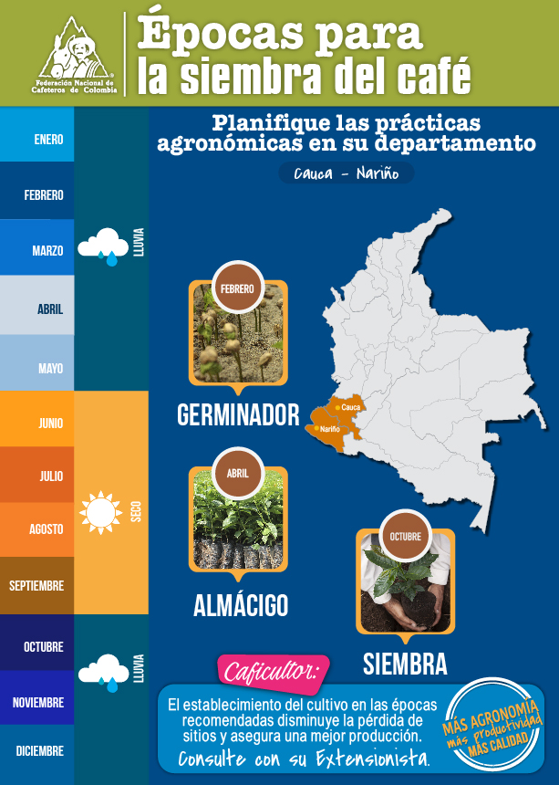 <p>Épocas para la siembra del café en Cauca y Nariño</p> <p>Épocas para la siembra del café en Cauca y Nariño</p>