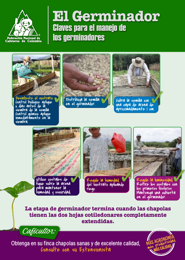 <p>El Germinador. Claves para el manejo de los germinadores</p>