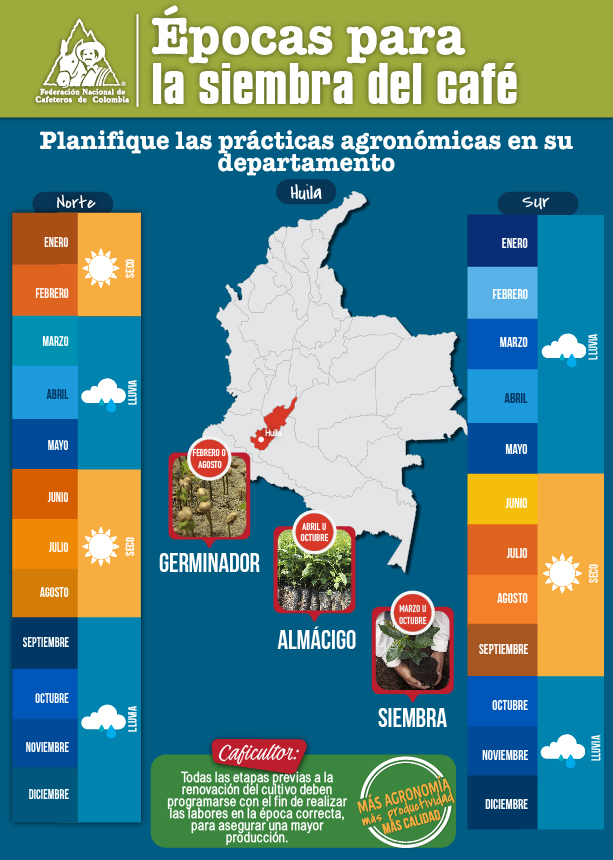<p>Épocas para la siembra del café en el Huila</p> <p>Épocas para la siembra del café en el Huila</p>