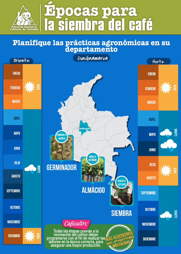 <p>Épocas para la siembra del café en Cundinamarca</p> <p>Épocas para la siembra del café en Cundinamarca</p>