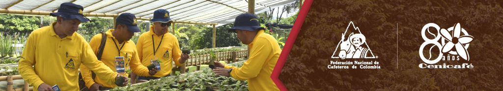 Ciencia, tecnología e innovación para la caficultura colombiana. Ciencia, tecnología e innovación para la caficultura colombiana.