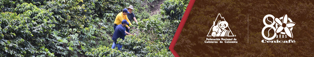 Ciencia, tecnología e innovación para la caficultura colombiana. Ciencia, tecnología e innovación para la caficultura colombiana.