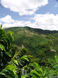 <p>Clima</p> <p>Clima</p>