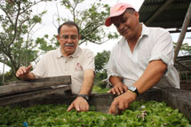 <p>Investigadores en el campo</p> <p>Investigadores en el campo</p>